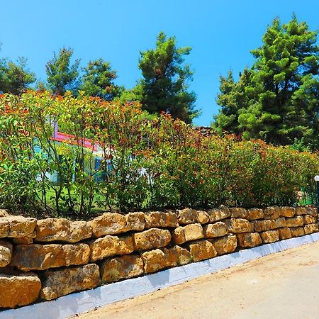Ariadni Villa Sani Sani  ภายนอก รูปภาพ