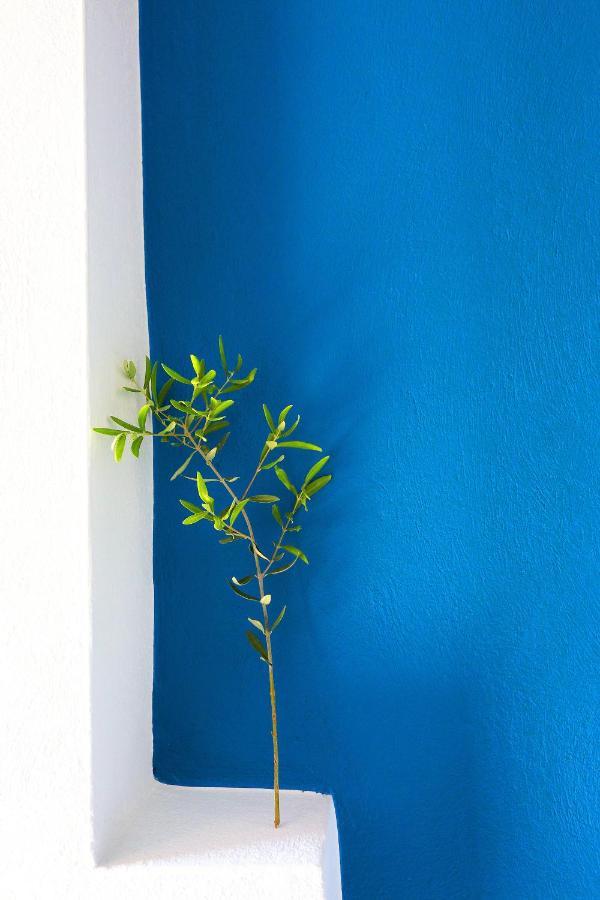 Ariadni Villa Sani Sani  ภายนอก รูปภาพ