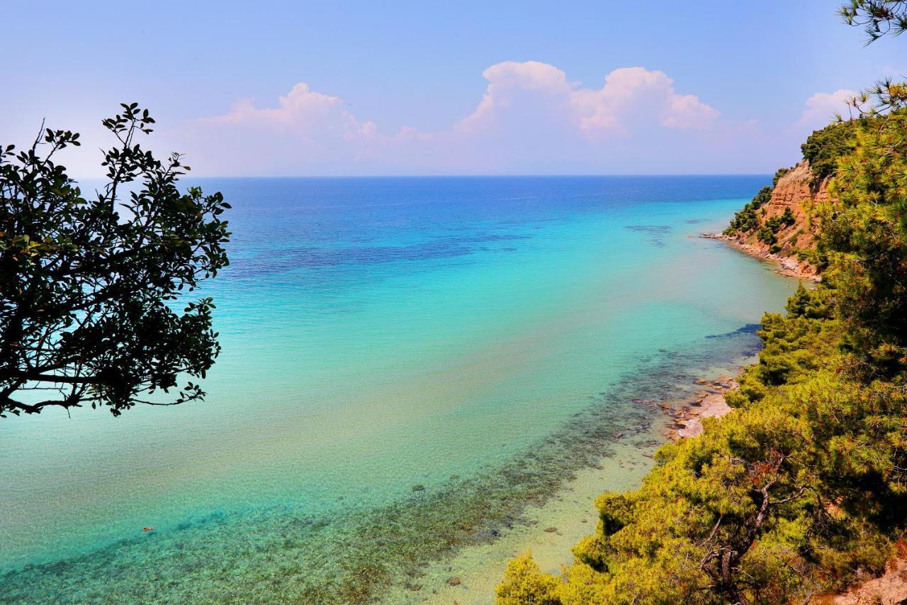 Ariadni Villa Sani Sani  ภายนอก รูปภาพ